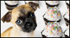 Birthday Pupcakes