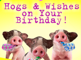 Hogs and Wishes happy birthday ecards