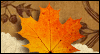 Thanksgiving Joy Thanksgiving eCards