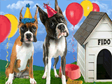Pooch Party<br>Talking Card happy birthday ecards