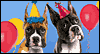 Pooch Party Talking Card