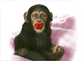 Chimply Irresistible<br>Talking Card valentines day ecards