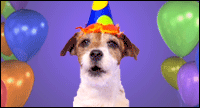 Woofy Birthday