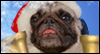 Doggy Carol of the Bells
