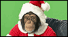 Old St. Chimp Talking Card