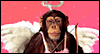 Let's Monkey Around Talking Card