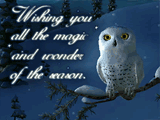 Wishing Star christmas ecards