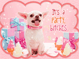 Party B*tches<br>(Postcard) happy birthday ecards