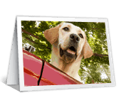 King of the Road happy birthday printable cards