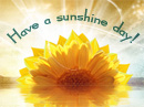 Sunshine Day Postcard