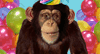 Go Bananas! --  eCard from Yahoo! Greetings