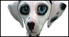See Spot Speak --  eCard from Yahoo! Greetings