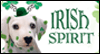 Irish Spirit<br>Postcard St. Patrick's Day Postcards