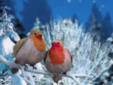 Christmas Wishes christmas ecards