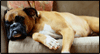 Take It Easy Calendar Wallpaper for your desktop