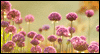 God Is With You Calendar Wallpaper for your desktop