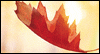 Give Thanks Calendar Wallpaper for your desktop