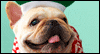 Snuggly-pups Calendar Wallpaper for your desktop