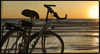 Beach Ride Calendar Wallpaper for your desktop