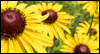 Lovely, Just and True Calendar Wallpaper for your desktop