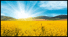 Morning Meadow Calendar Wallpaper for your desktop