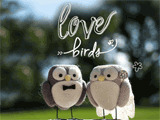 Love Birds wedding and engagement ecards