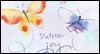 Scatter Joy<br>Postcard<br>Kathy Davis Just Because Postcards