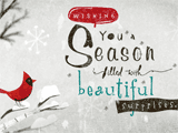 Season Surprises<br>(Postcard) seasons greetings ecards