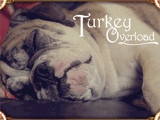 Turkey Overload<br>(Postcard) thanksgiving ecards