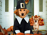 Pawfect Pilgrims<br>Talking Card thanksgiving ecards