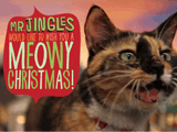 A Meowy Christmas christmas ecards