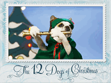 The 12 Dogs<br>of Christmas Series christmas ecards