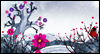 New Beginnings (Postcard)