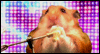 Smooth Hamster Love Song