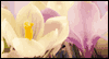 Joy of Easter