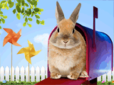 Hare Mail<br>Talking Card easter ecards