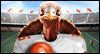 Fowl Play Talking Card