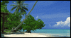 Beach Dreams Calendar Wallpaper for your desktop