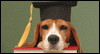 Doggone Smart! Calendar Wallpaper for your desktop