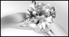 Engagement<br>Postcard Wedding eCards