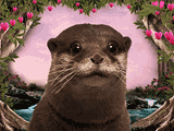 Otterly in Love<br>Talking Card valentines day ecards