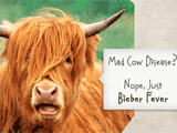 Bieber Fever<br>(Postcard) saying hi ecards