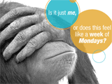 Case of the Mondays<br>(Postcard) saying hi ecards