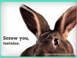 Hare-larious <br>(Postcard) saying hi ecards