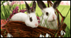 Happy Easter!