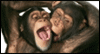 Let's Monkey Around! Flirting Everyday Ecard
