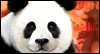 Chinese New Year<br>Talking Card Chinese New Year eCards