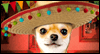 Happy Cinco de Mayo<br>Talking Card Cinco De Mayo eCards