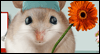 Happy Nurses Week<br>Talking Card Nurses Day eCards