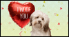 Puppy Love Valentine's Day Ecard